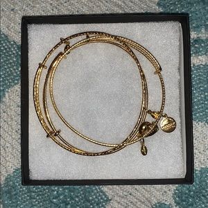 Alex and Ani Bracelet (set of 3)